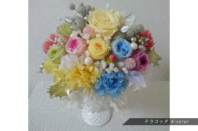 テラコッタA-color