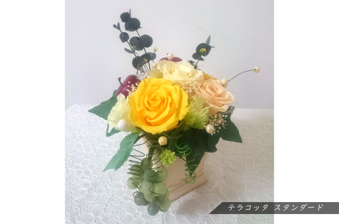 テラコッタスタンダード